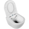 Комплект унитаза BelBagno Amanda BB051CHR+BB051SC с инсталляцией Grohe Rapid SL 38721001 с сиденьем Микролифт и клавишей смыва Хром фаянс подвесной