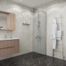 Душевая перегородка Niagara Eco 80 NG-531-80 профиль цвет Хром стекло прозрачное