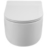 Унитаз BelBagno Soft-Tor BB084CH-TOR подвесной без сиденья фаянс подвесной