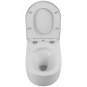 Унитаз BelBagno Soft-Tor BB084CH-TOR подвесной без сиденья фаянс подвесной