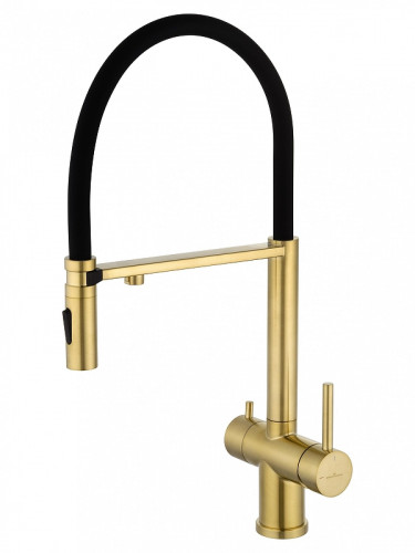Смеситель для кухни Wonzon &amp; Woghand WW-88458009-BG цвет Брашированное золото