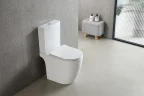Унитаз компакт Azario Leo Торнадо Flushing AZ-1253CT цвет Белый с бачком и сиденьем Микролифт