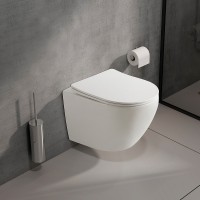 Унитаз Olive's Plaza PL30116DP подвесной с сиденьем Микролифт фарфор подвесной