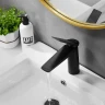 Смеситель для раковины Shevanik S8401H цвет Черный