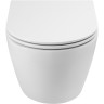 Унитаз BelBagno Sfera-Tor BB046CH-TOR/BB870SC подвесной с сиденьем Микролифт фаянс подвесной