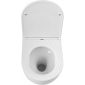 Унитаз BelBagno Sfera-Tor BB046CH-TOR/BB870SC подвесной с сиденьем Микролифт фаянс подвесной