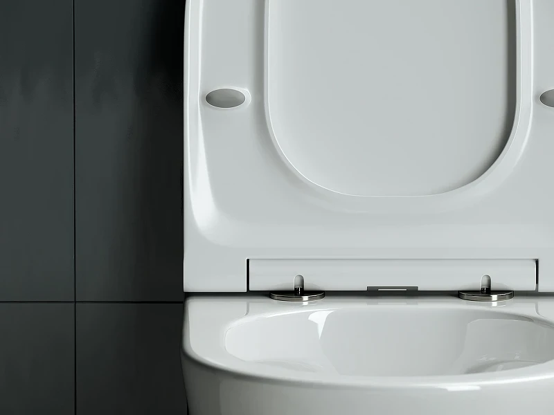 Комплект унитаза DIWO Ceramicanova Forma CN3011 с сиденьем с инсталляцией DIWO 4501 с клавишей смыва цвет Глянцевый белый