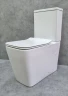 Унитаз компакт CeramaLux 2170AXMW Белый матовый с бачком и сиденьем Микролифт фаянс напольный