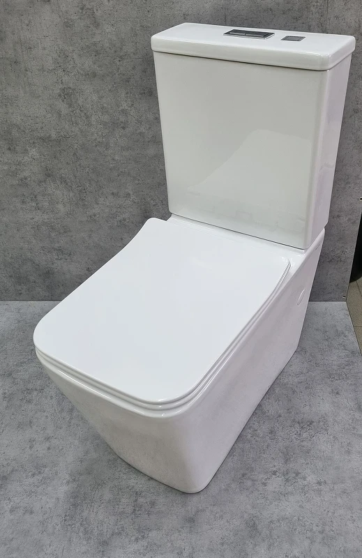 Унитаз компакт CeramaLux 2170AXMW Белый матовый с бачком и сиденьем Микролифт фаянс напольный