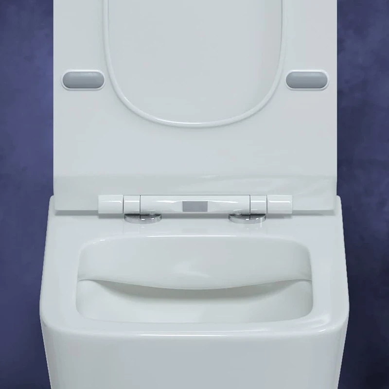 Комплект унитаза с инсталляцией Berges Floe Rimless 043278 с сиденьем Микролифт и Белой матовой клавишей смыва фарфор подвесной