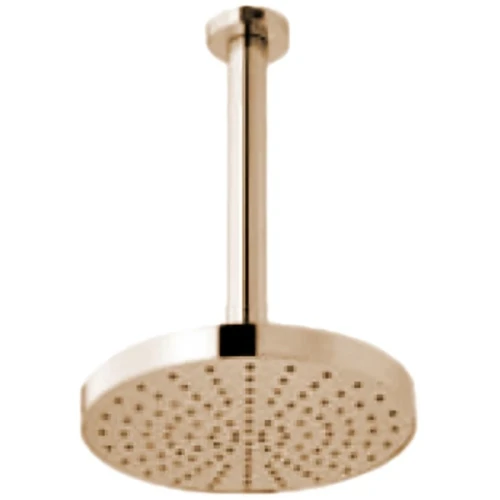 Верхний душ Webert Comfort AC0940010METAL Золото нержавеющая сталь на потолок