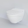 Унитаз Ambassador Nord 133T20101-132T20101S подвесной Белый матовый с сиденьем Микролифт фарфор подвесной