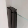 Душевая дверь RGW Passage PA-03B NEW 60 54080306-14 профиль Черный матовый стекло прозрачное