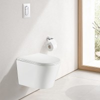 Унитаз Olive's Torres TR30116DP подвесной с сиденьем Микролифт фарфор подвесной