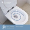 Комплект унитаза DIWO Aqueduto Cone Tornado CONT0110 с сиденьем с инсталляцией DIWO 4501 с клавишей смыва цвет Матовый черный