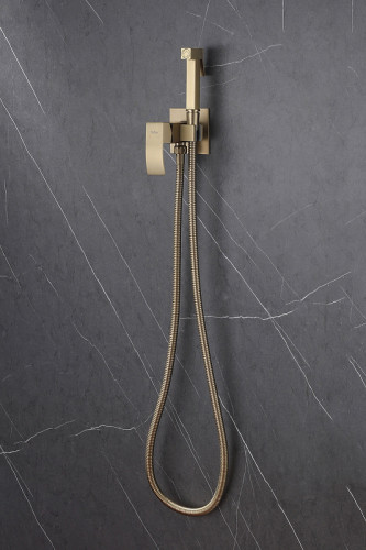 Гигиенический душ со смесителем Abber Wasserfall AF8625G Золото матовое латунь встраиваемый