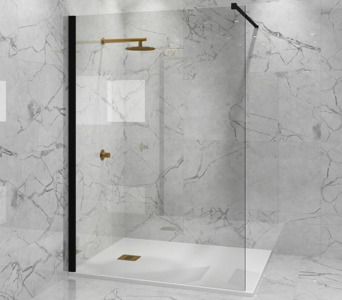 Душевая перегородка Paini 110 PAINI-WalkIN110C профиль Черный матовый стекло прозрачное