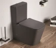 Унитаз компакт CeramaLux 2170AXMDH Серый матовый с бачком и сиденьем Микролифт фаянс напольный