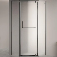Душевой уголок RGW Passage PA-081B 120х120 35088122-24 профиль Черный стекло матовое-сатинат