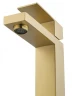 Смеситель для раковины Wonzon & Woghand WW-A40982-BG цвет Брашированное золото