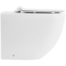 Унитаз BelBagno Sfera-R BB2141CBR/BB2111SC приставной с сиденьем Микролифт фаянс приставной
