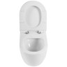 Унитаз BelBagno Sfera-R BB2141CBR/BB2111SC приставной с сиденьем Микролифт фаянс приставной