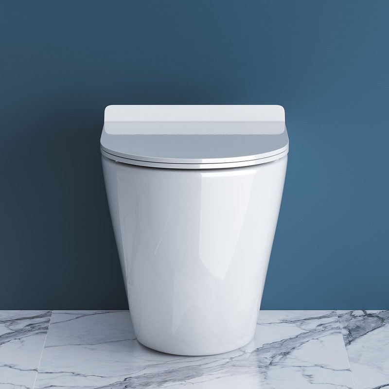 Унитаз BelBagno Sfera-R BB2141CBR/BB2111SC приставной с сиденьем Микролифт фаянс приставной