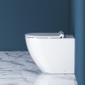 Унитаз BelBagno Sfera-R BB2141CBR/BB2111SC приставной с сиденьем Микролифт фаянс приставной