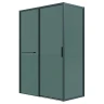 Душевая стенка Grossman Style 100 200.K33.05.100.21.10 профиль Черный матовый стекло тонированное