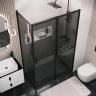 Душевая стенка Grossman Style 100 200.K33.05.100.21.10 профиль Черный матовый стекло тонированное