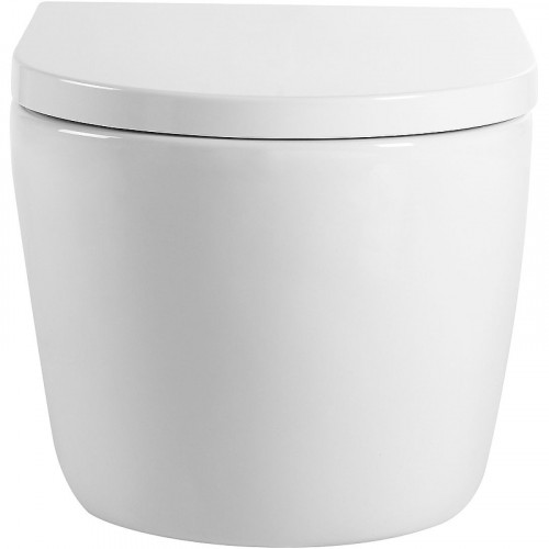 Унитаз Aquanet ZV-2 303978 подвесной с сиденьем Микролифт фарфор подвесной