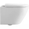 Унитаз Aquanet ZV-2 303978 подвесной с сиденьем Микролифт фарфор подвесной