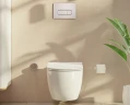 Инсталляция Vitra Core 800-1873 для унитаза с клавишей смыва Хром глянцевый нержавеющая сталь