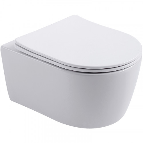 Унитаз Aquanet Smart W Rimless 276395 подвесной с сиденьем Микролифт фаянс подвесной