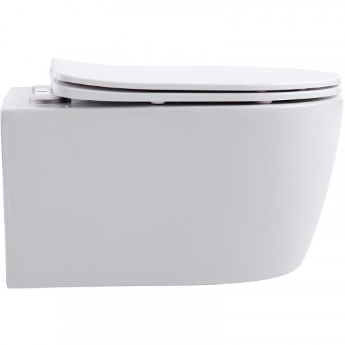 Унитаз Aquanet Smart W Rimless 276395 подвесной с сиденьем Микролифт фаянс подвесной