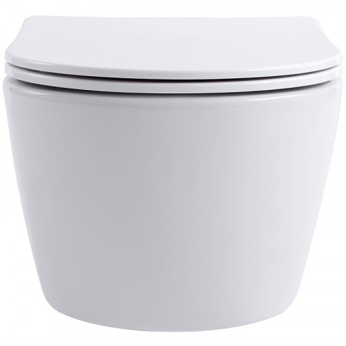 Унитаз Aquanet Smart W Rimless 276395 подвесной с сиденьем Микролифт фаянс подвесной