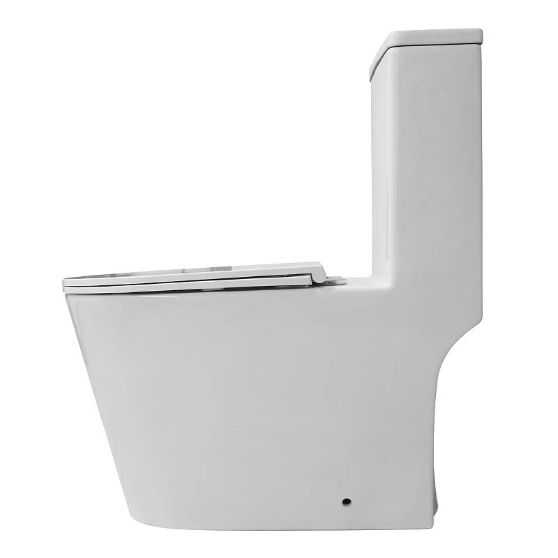 Унитаз моноблок Azario Eagle Торнадо AZ-80673 цвет Белый с сиденьем Микролифт