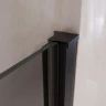 Душевая дверь RGW Passage PA-03B NEW 70 54080307-34 профиль Черный матовый стекло тонированное