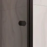 Душевая дверь RGW Passage PA-03B NEW 70 54080307-34 профиль Черный матовый стекло тонированное