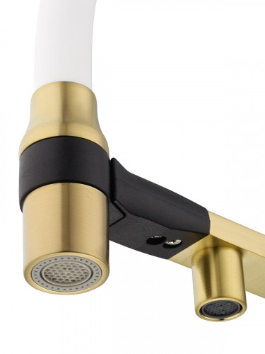 Смеситель для кухни Wonzon &amp; Woghand WW-88458013-BG(MW) цвет Брашированное золото