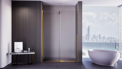 Душевая дверь Veconi Premium Trento PTDW-50G 100 PTDW-50G-100-01-C4 профиль цвет Брашированное золото стекло прозрачное