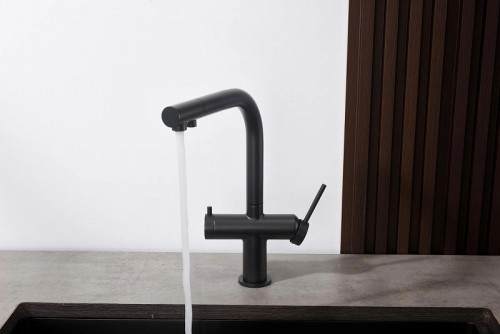 Смеситель для кухни Aquatek Европа AQ1385MB Черный матовый латунь