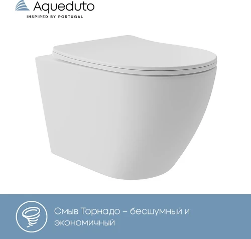 Унитаз Aqueduto Ovo Plus OVOT0220 подвесной Белый матовый с сиденьем Микролифт фарфор подвесной