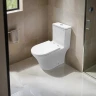 Унитаз моноблок Azario Vally Торнадо AZ-80687 цвет Белый с сиденьем Микролифт