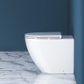 Унитаз BelBagno Sfera-R BB2141CBR/BB870SC приставной с сиденьем Микролифт фаянс приставной