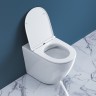 Унитаз BelBagno Sfera-R BB2141CBR/BB870SC приставной с сиденьем Микролифт фаянс приставной
