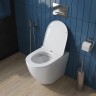 Унитаз BelBagno Sfera-R BB2141CBR/BB870SC приставной с сиденьем Микролифт фаянс приставной