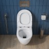 Унитаз BelBagno Sfera-R BB2141CBR/BB870SC приставной с сиденьем Микролифт фаянс приставной