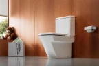 Унитаз компакт Roca Hall 342628000 без бачка и сиденья