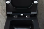 Унитаз Allen Brau Infinity 4.21011.31 подвесной Черный матовый без сиденья фаянс подвесной